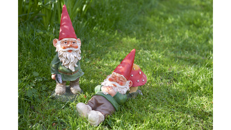 Two Garden Gnomes