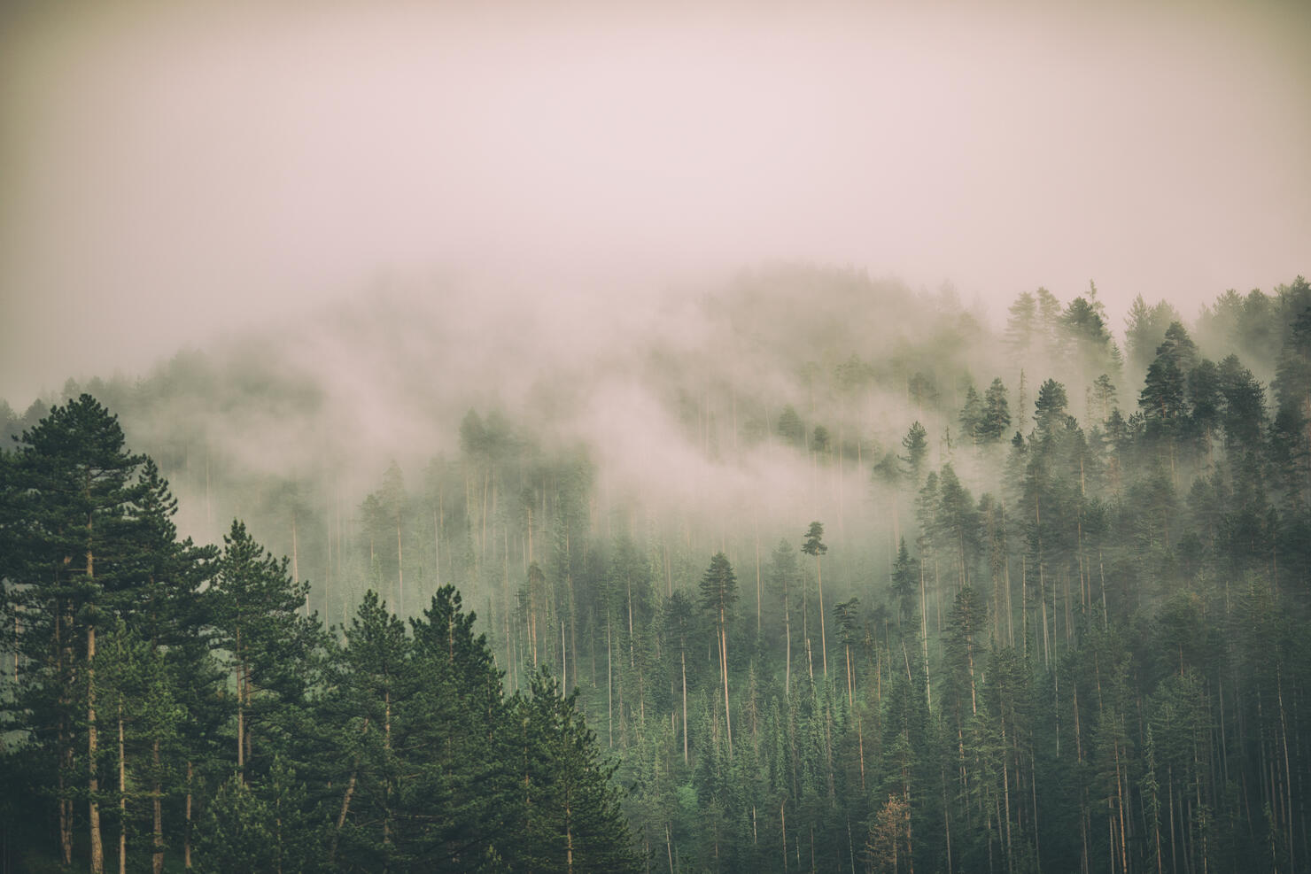 Fog and clouds on mountain