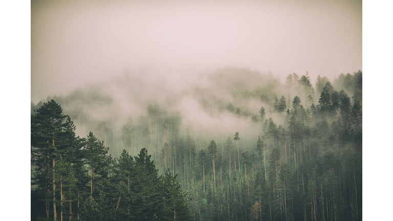 Fog and clouds on mountain