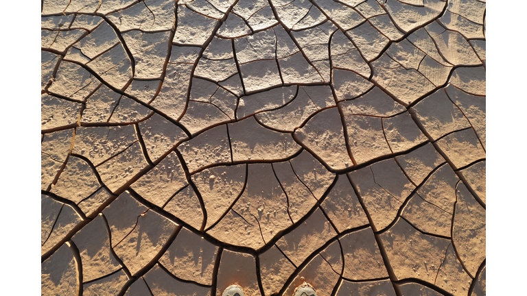 Cracking soil in dry season lake surface