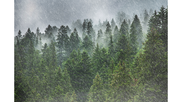 Heavy rain in the mountains