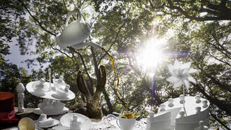 Random Fact of The Day!