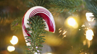 Troy Sets December 3 for Tree Lighting Event