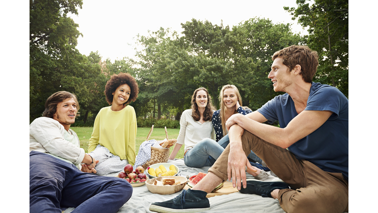 Friends having picnic