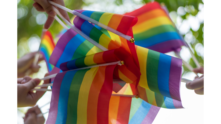 LGBT, pride, rainbow flag as a symbol of lesbian, gay, bisexual, transgender, and queer pride and LGBTQ social movements in June month