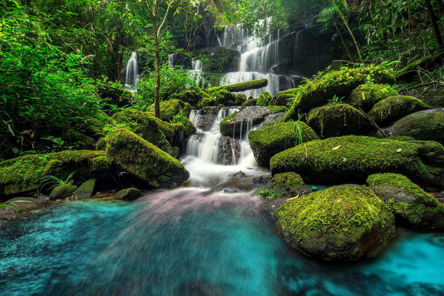 beautiful waterfall in green forest in jungle