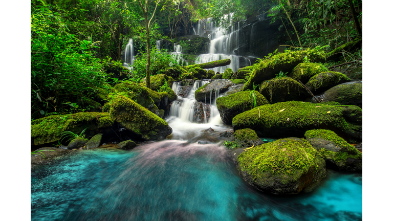 beautiful waterfall in green forest in jungle