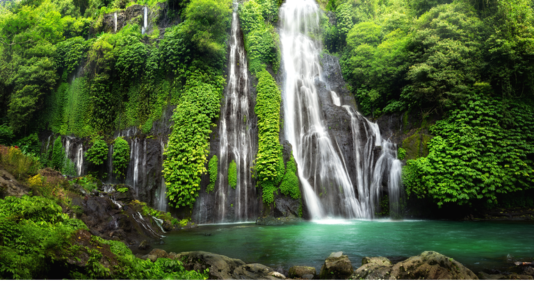 Jungle waterfall cascade in tropical rainforest. Banyumala Twin Waterfall In Bali Jungle