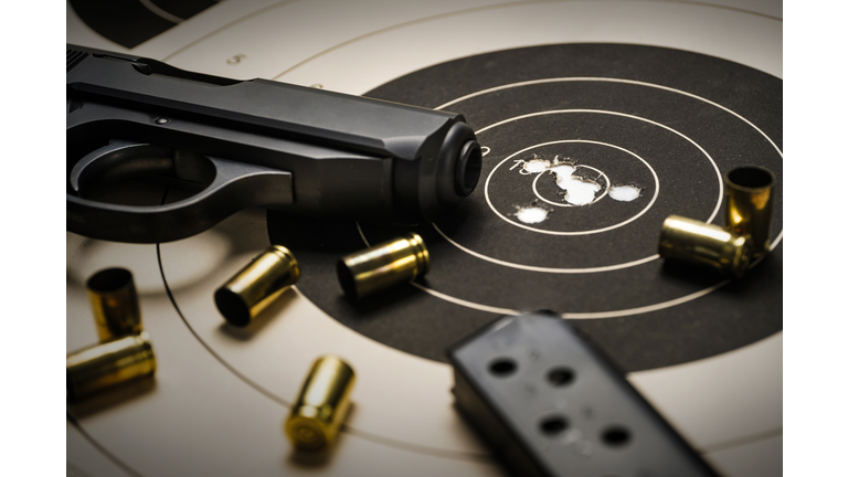 Gun Ownership / Geomagnetic Fields