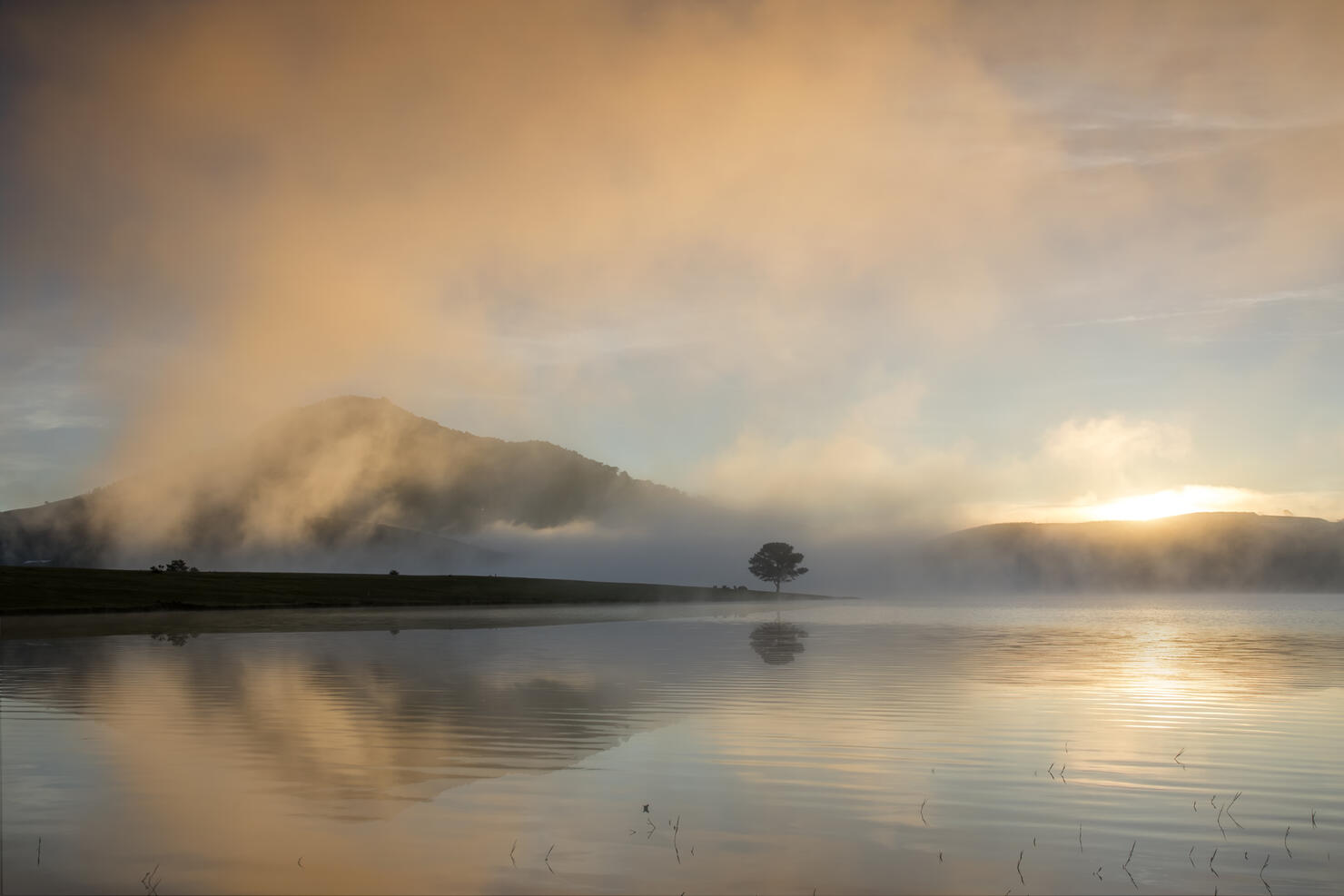Dawn on the lake with fog, mountain and lonely tree