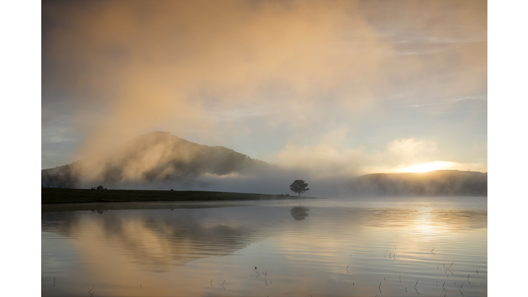 Dawn on the lake with fog, mountain and lonely tree