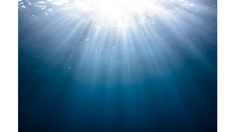 The underwater world of the Cocos Islands.