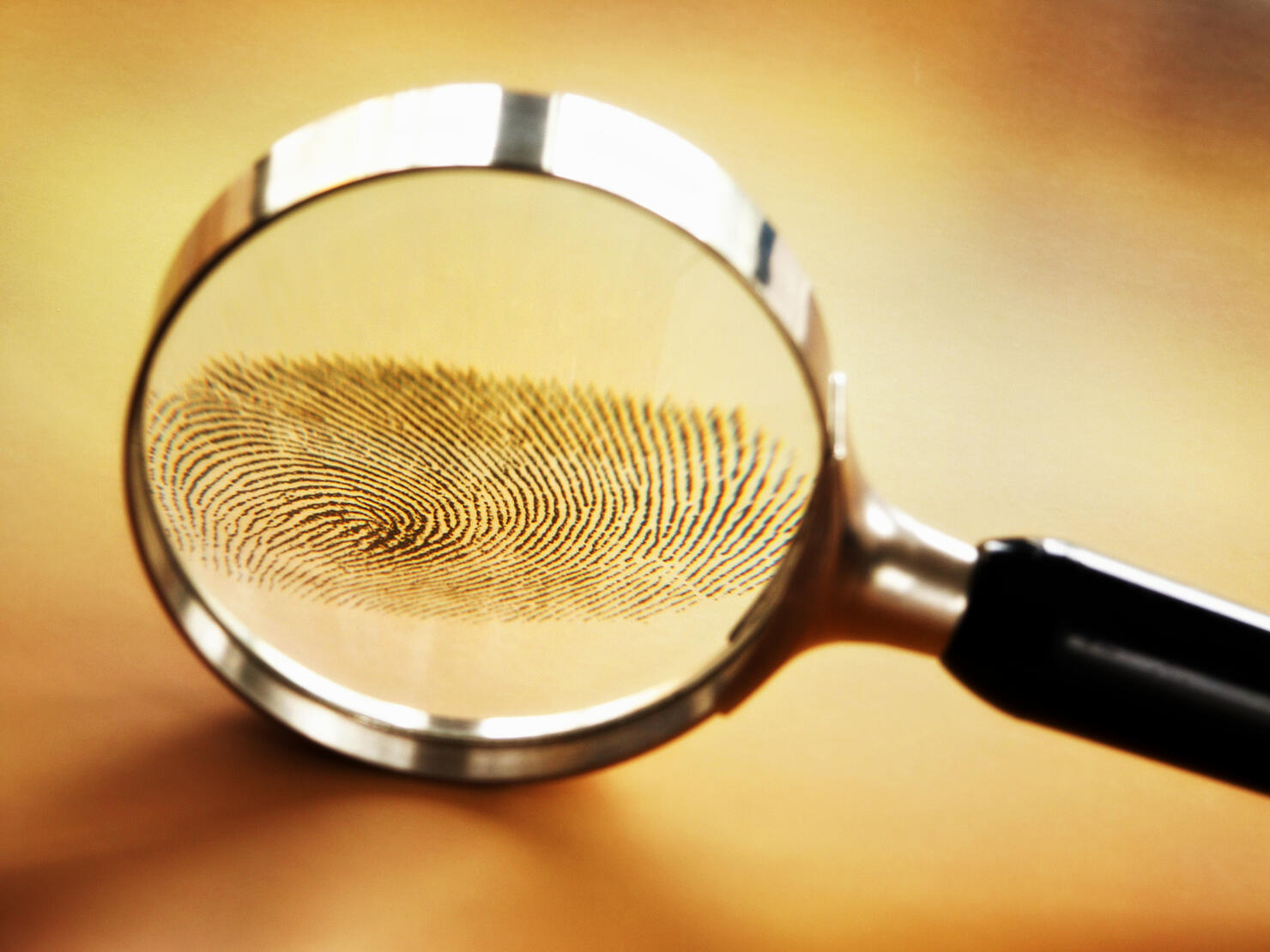 Lens Enlarging Fingerprint