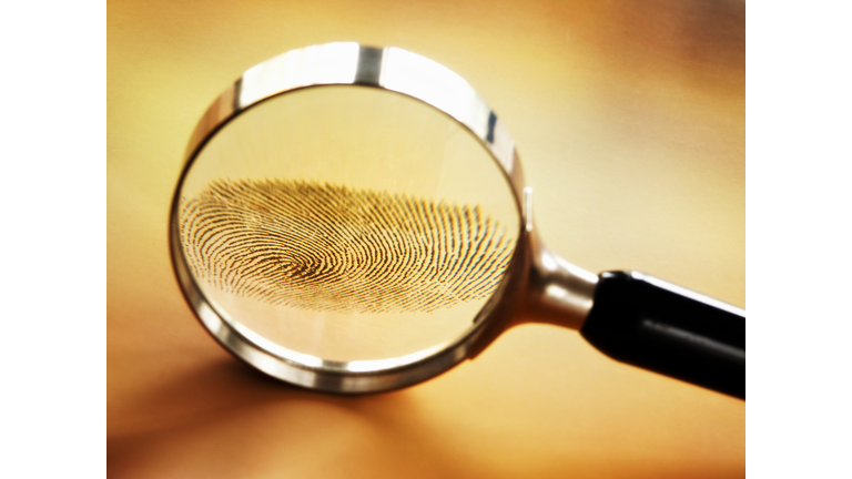 Lens Enlarging Fingerprint