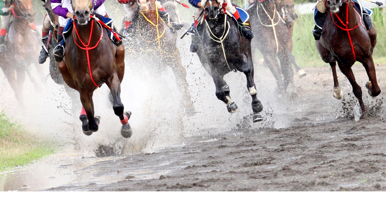 Horse Racing