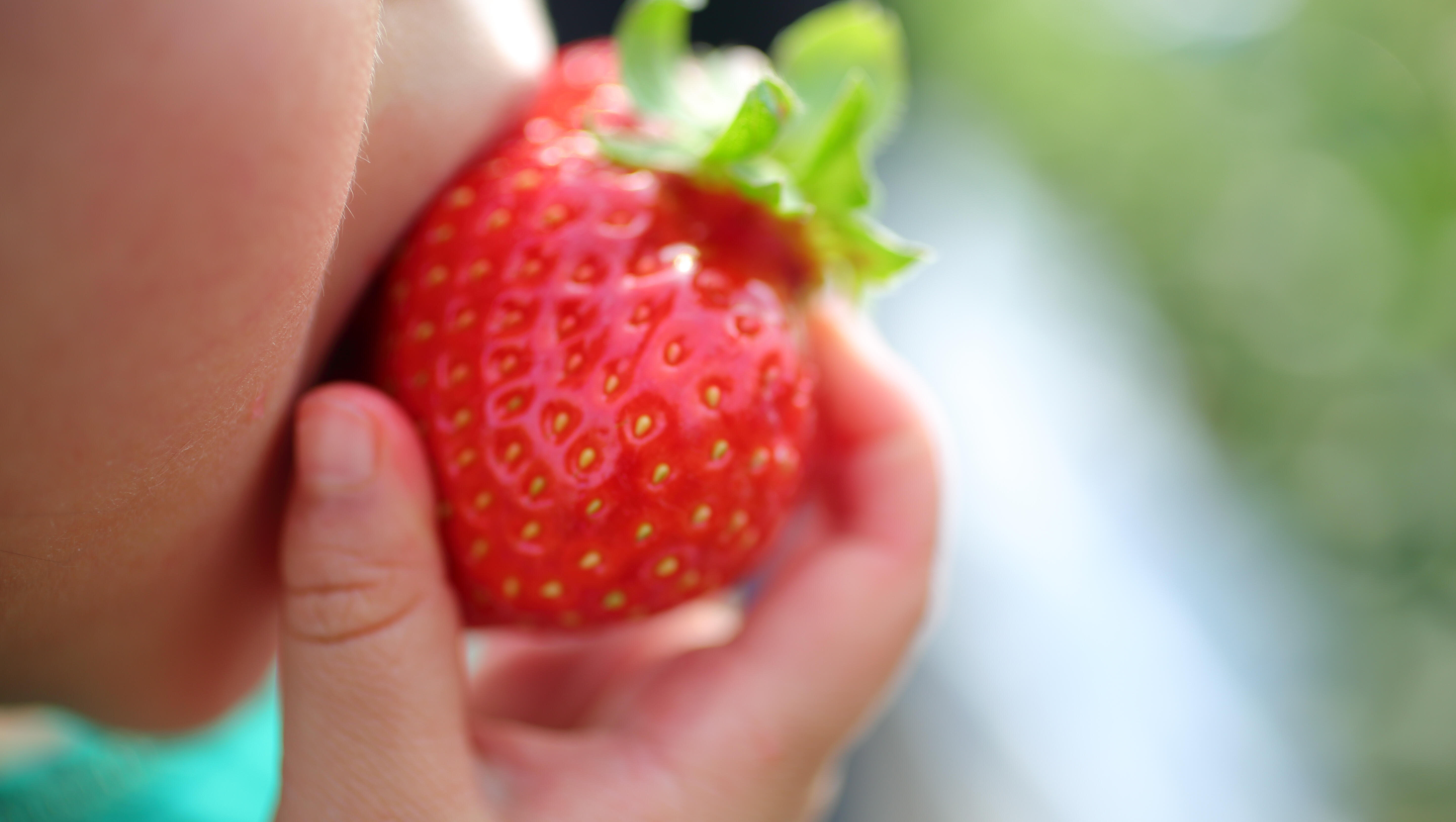 Strawberry Festival May 26-29th!