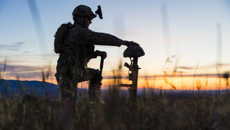 Vet Illnesses & PTSD