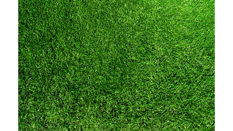 Directly Above Shot Of Fresh Green Grass Or Lawn