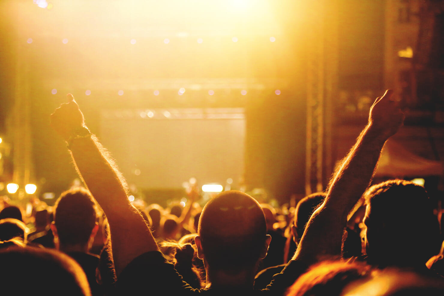 Raised hands at a concert