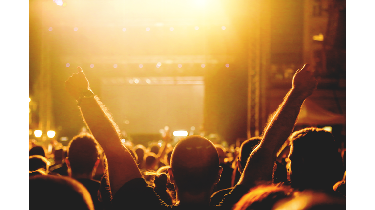 Raised hands at a concert