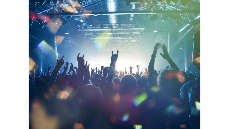 Concert crowd