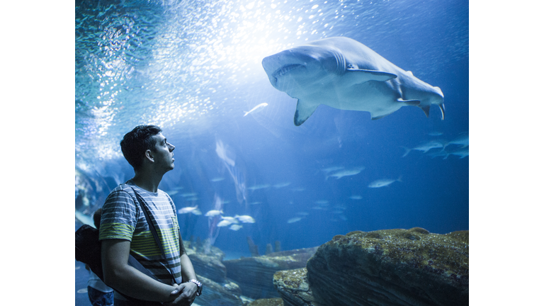 Man looking at shark fish while standing in aquarium