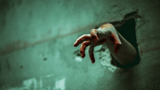 Horror Films / Open Lines