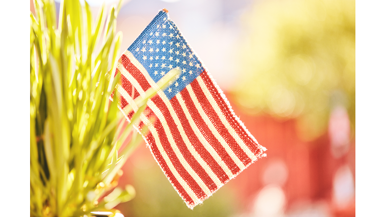 Patriotic American Flag in Nature for Memorial Day