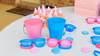 Gender Reveal Party Cost $6000!