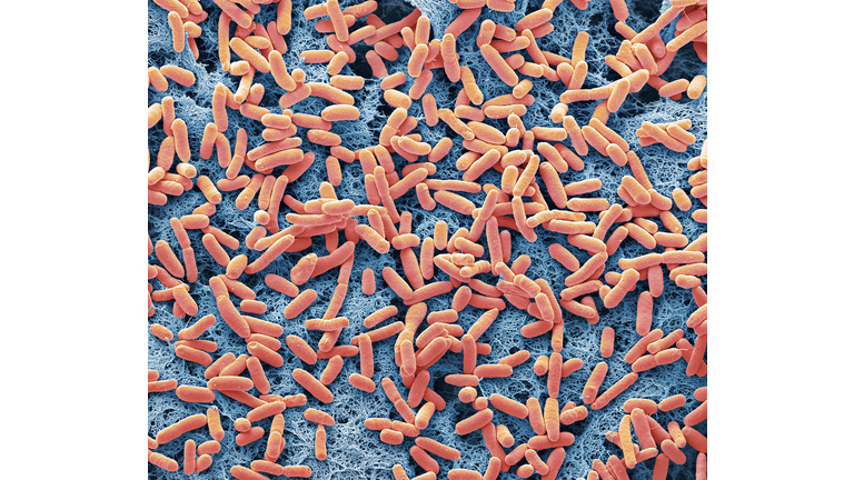 E. Coli Outbreak / Ancient Astronauts