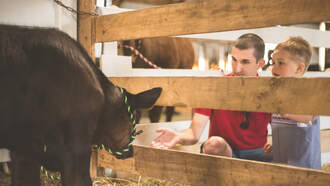 85 Incredible Photos from the 2025 Ross County Fair