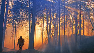 Medic to Mystic / Bigfoot Investigations