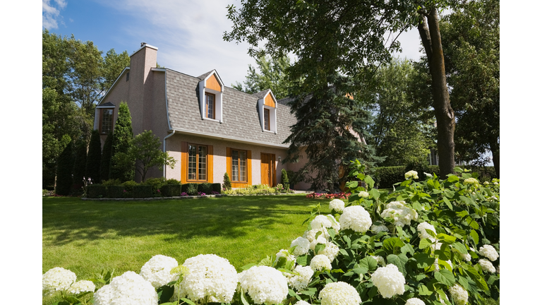 House and garden