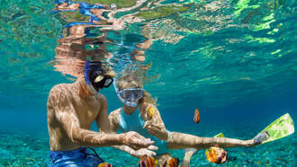 Cool Events During Spring Break In Houston