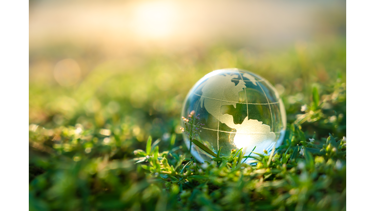 Concept Save the world save environment The world is in the grass of the green bokeh background