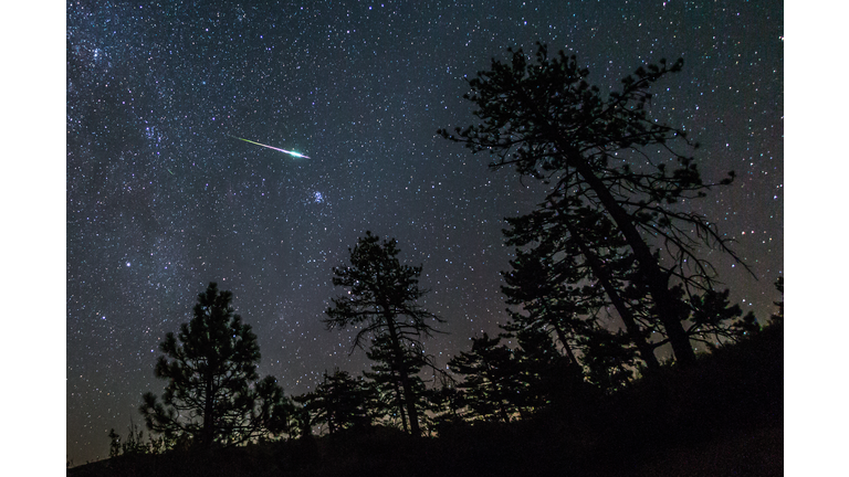 Meteor Shower Above Pine Trees