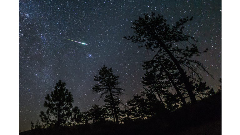 2016 Perseid Meteor Fireball Streaks Above Pine Trees
