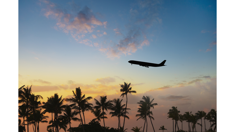 Silhouette of airplane flying over palm trees in sunset