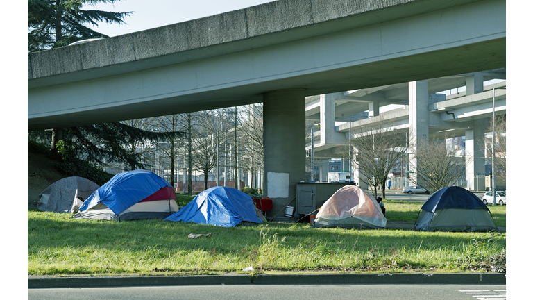 Homeless encampment below freeway in Seattle WA