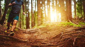 Poughkeepsie Secures Grant for Sunnyside Park Trail