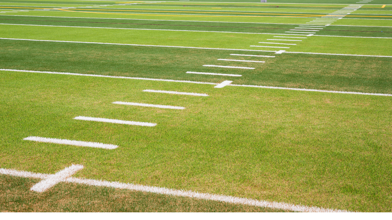 Detail view football field