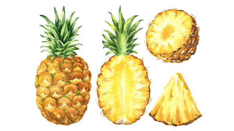 Hand drawn watercolor pineapple set isolated on white background. Food illustration.