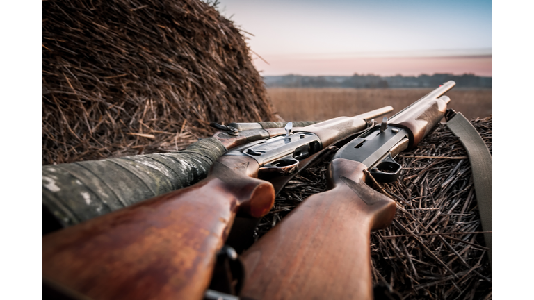 Hunting shotguns on haystack during sunrise in expectation of hunt