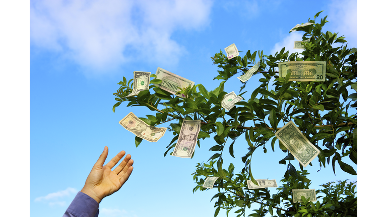 Money Doesn't Grow on Trees
