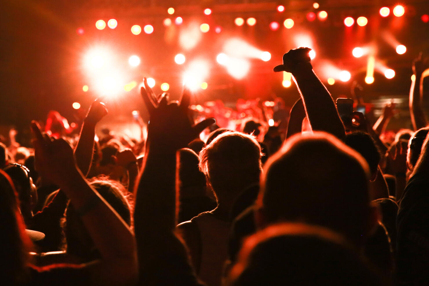 Concert Audience, Rear view Concert Crowd, Music Festival