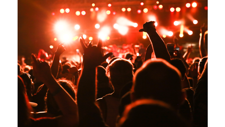 Concert Audience, Rear view Concert Crowd, Music Festival