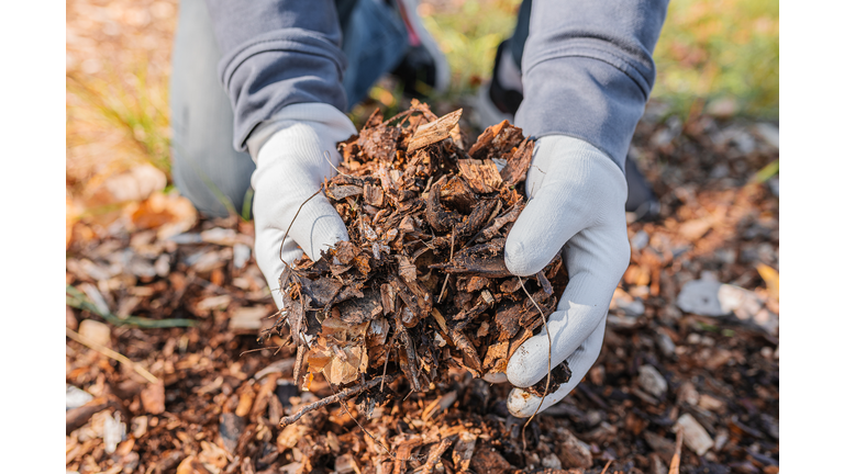 Composting organic waste for soil enrichment