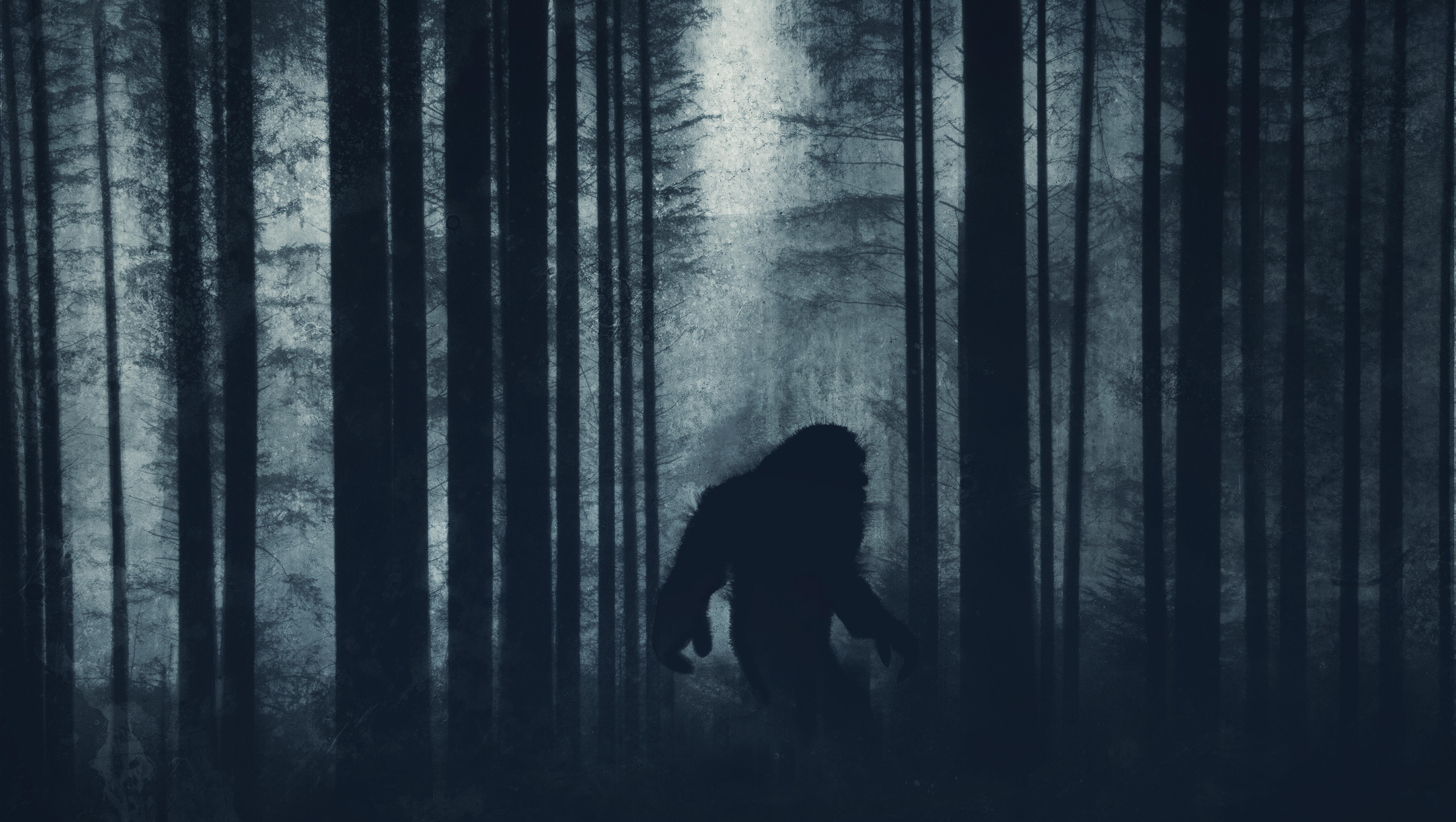 WATCH Is This Footage Of Bigfoot Taking A Dump?