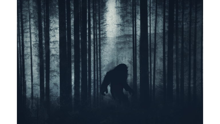 Bigfoot, UFOs, & Military Involvement