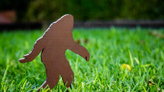 GMO Crops / Bigfoot Footage